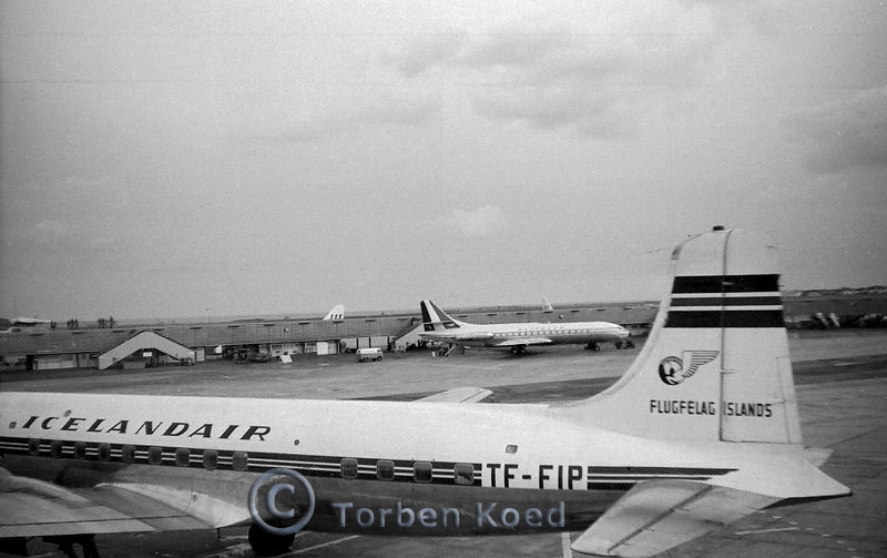 Icelandair Douglas DC-6B TF-FIP c/n 43549 at Kastrup Airport